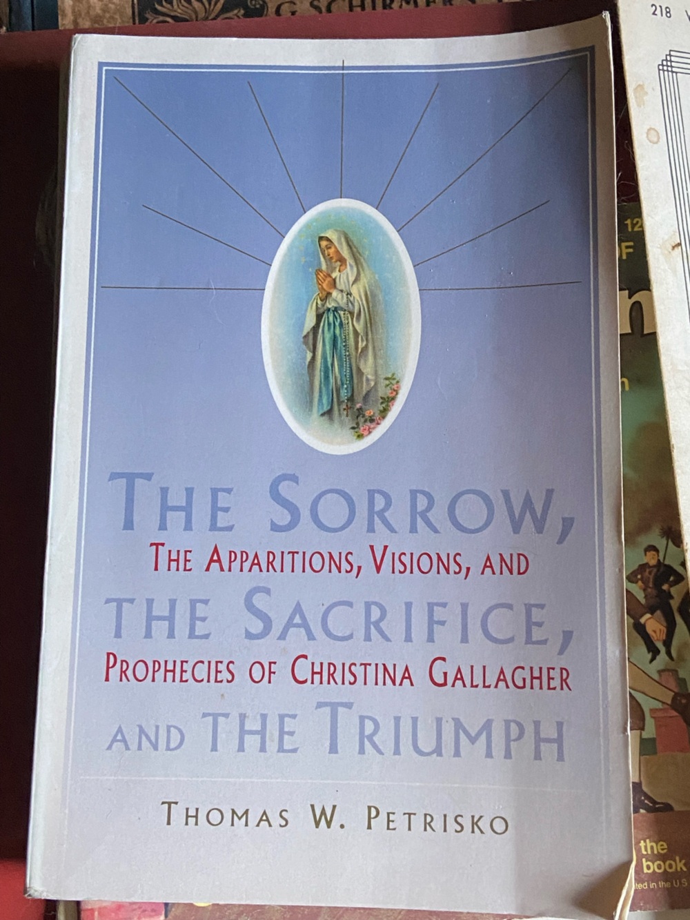 Blessed Mother Virgin Mary Vision Visions Apparition Book pray rosary Catholic
